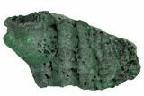 Silky Fibrous Malachite Cluster - Congo #110499-1